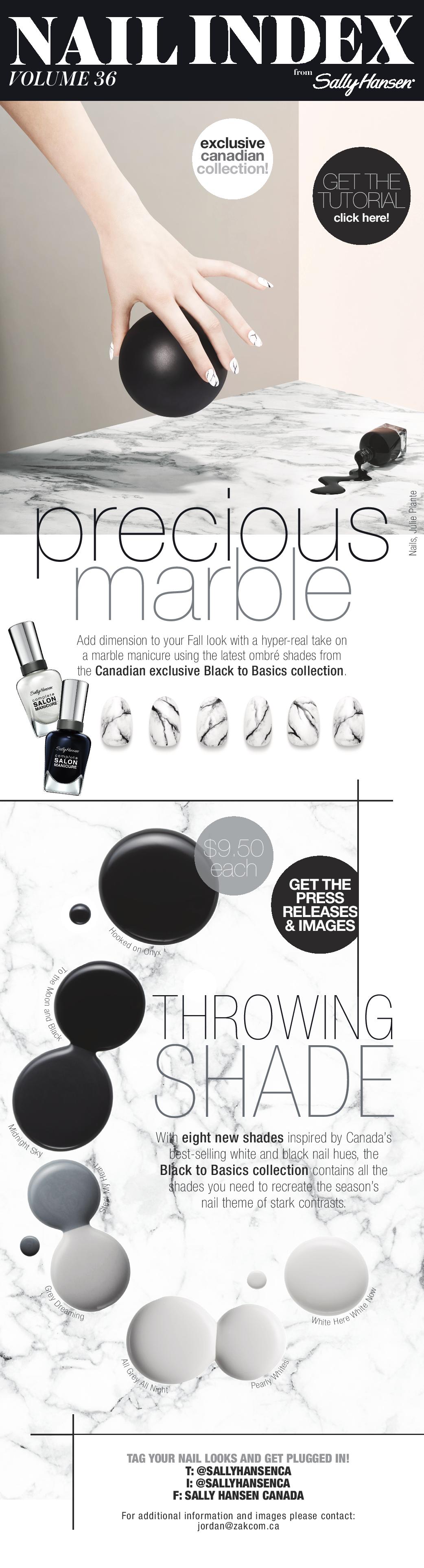 Sally Hansen Nail Index Black to Basics